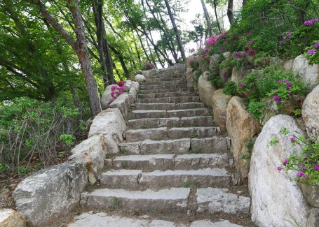 부산외국어대학교 홍보용 이미지 - 돌계단